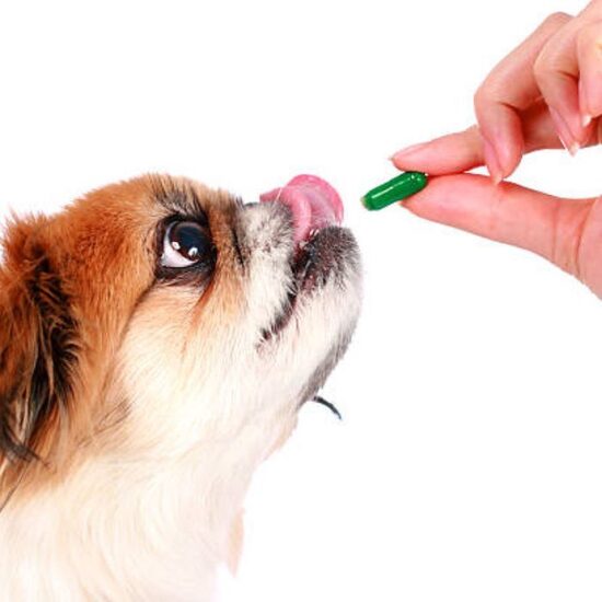 Vitamins and nutritional additives