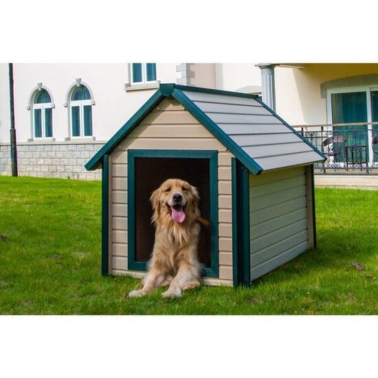 Kennels