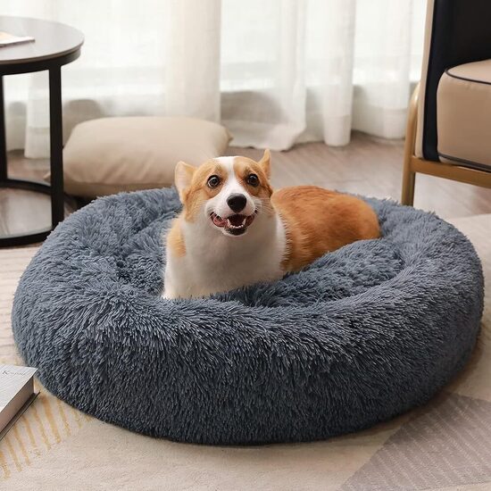 Dog beds