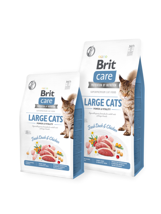 Sausā barība kaķiem BRIT CARE Grain-Free LARGE CATS POWER AND VITALITY 400g
